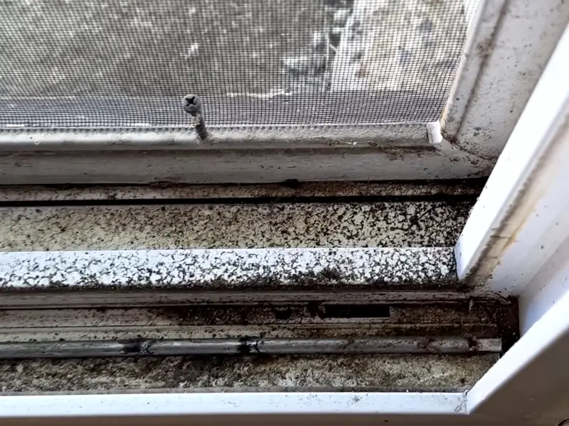 White window track packed with dark dirt and dust before a deep clean